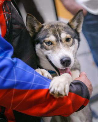 @for_pets_veletrh byl neskutečný zážitek! 🐶😍 Velké uznání🙏 patří skvělému týmu Granule Jehlička @michellka04 ,...